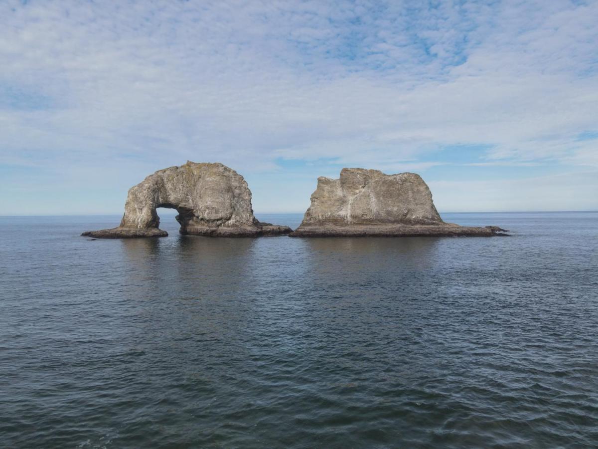 Rockaway Beach Vibes,Waterfront Oceanfront Rockaway Beach House Near Downtown,Wifi, Washer Dryer Eksteriør billede